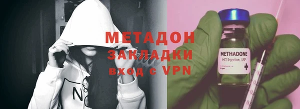 прущие грибы Пересвет