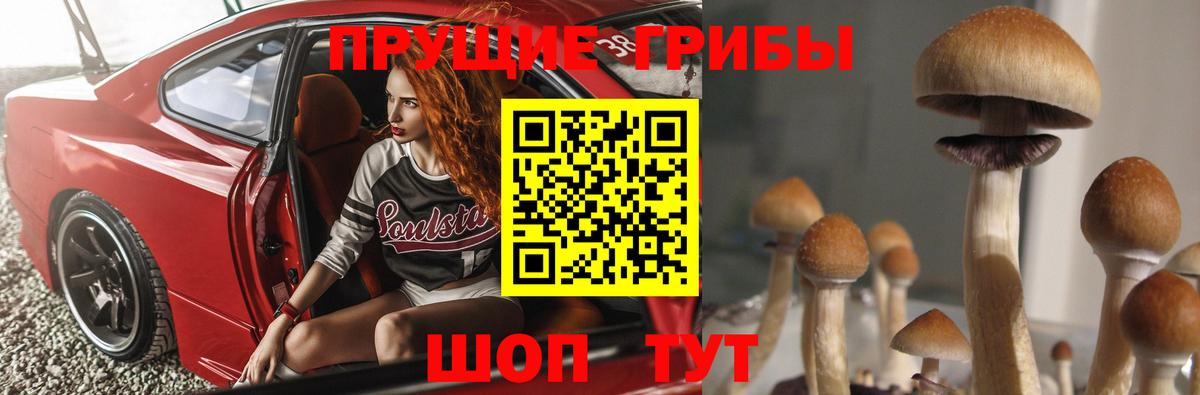 Нововоронеж  что такое наркотик  Вход с VPN  Галлюциногенные грибы MAGIC MUSHROOMS 